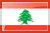 Appel pas cher au Liban avec Simplicitel